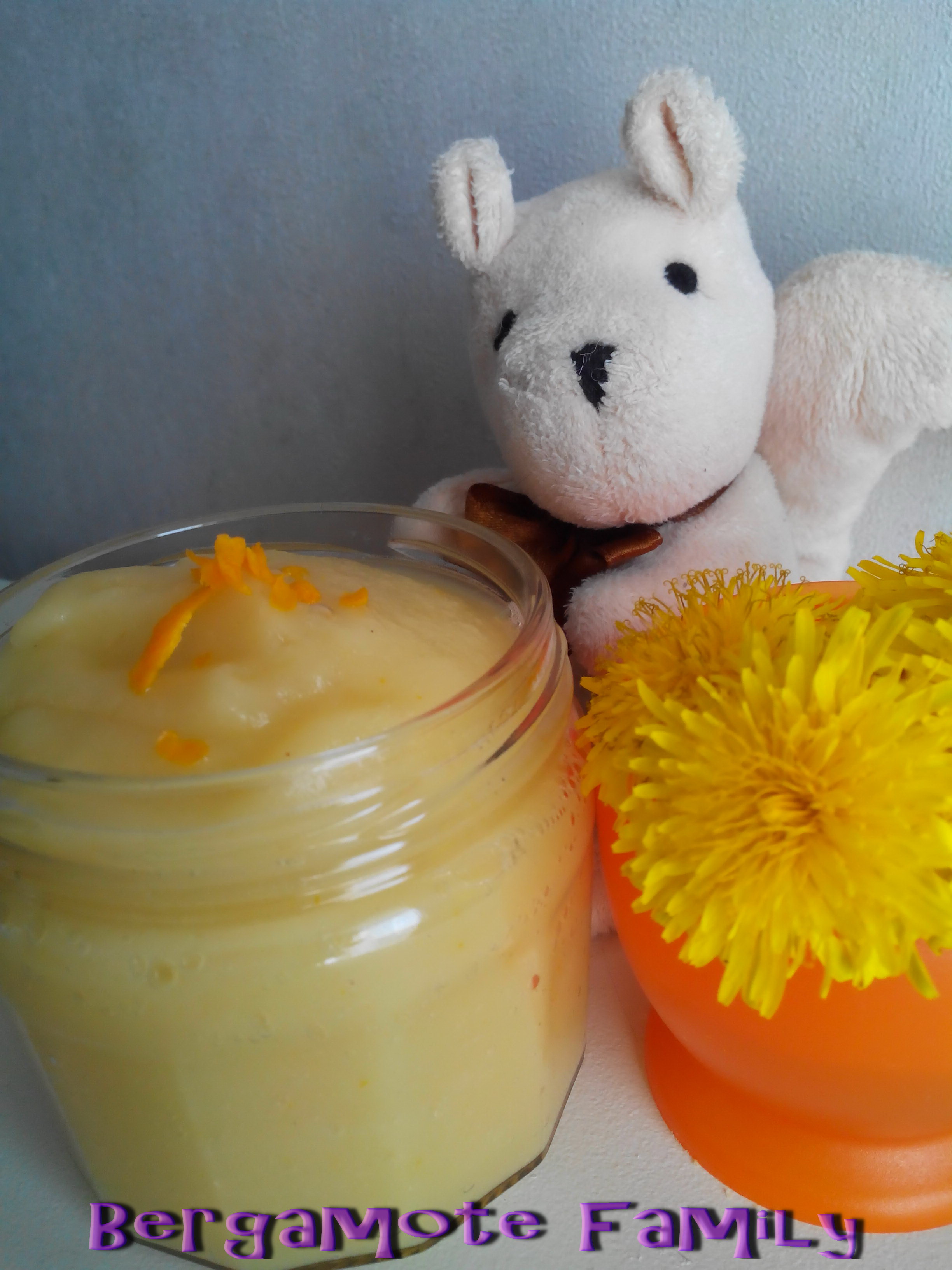 compote pomme poire cannelle zeste dorange