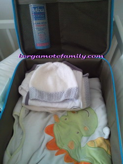 valise bébé bergamote