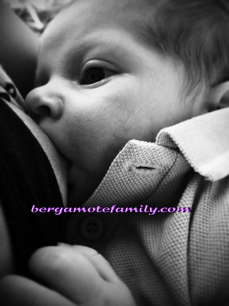 Allaitement Terminé : La Dernière Tétée - Bergamote & Family