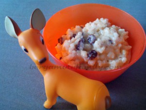 Riz au lait gourmand Canelle et raisins secs - Bergamote Family