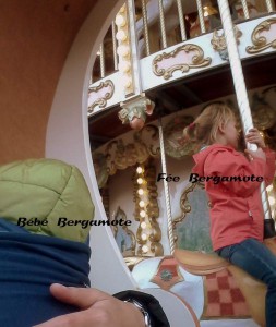 Walygator - Bergamote Family 1