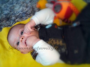 bébé bergamote 4 mois