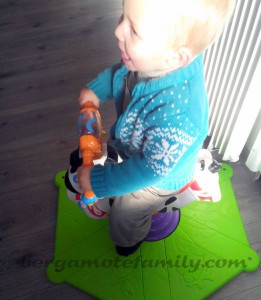 zèbre tourni rebond - fisher price - Bergamote Family