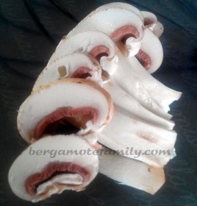 découpe champignons