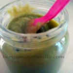 diversification alimentaire DA haricot (2)