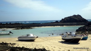 canaries - bergamote family - lobos port