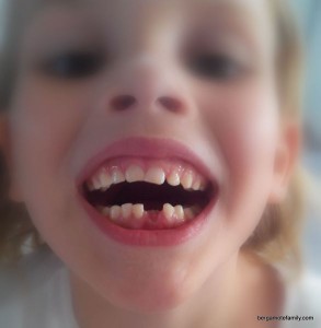 dent de lait - bergamote family (2)