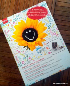 semis jardinage - bergamote family