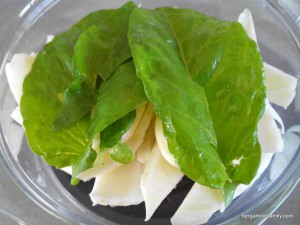 purée fenouil oseille - bergamote family (2)