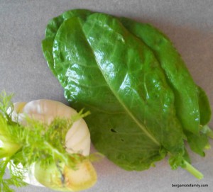 purée fenouil oseille - bergamote family