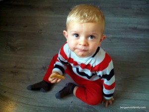 heavenly - bergamote family (8)