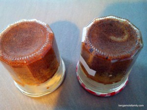 marbré au chocolat - bergamote family (6)