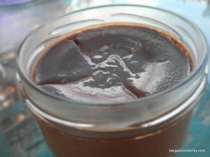 crème au chocolat multidélices bergamote family