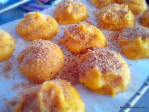 dômes de potiron - bergamote family (2)