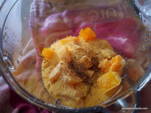 dômes de potiron - bergamote family