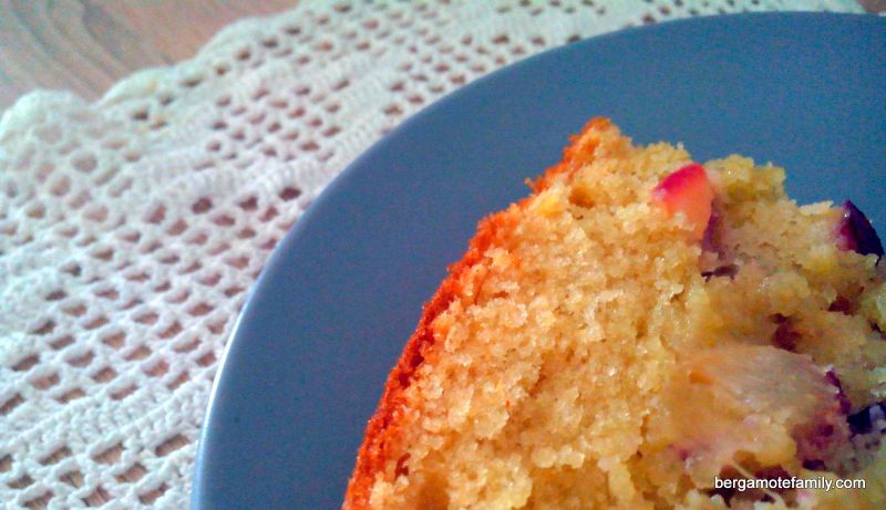 gâteau aux prunes - omnicuiseur - bergamote family (4)