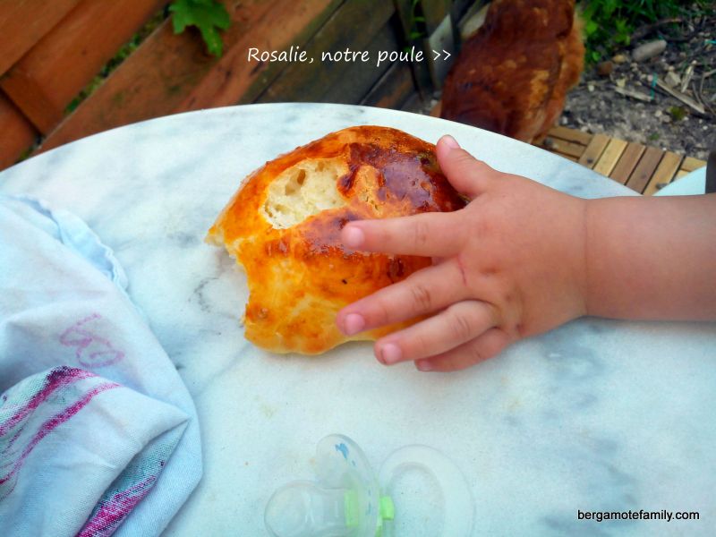 petit pain au lait petit lait - bergamote family (4)