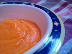 purée aux 3 P - bergamote family (3)
