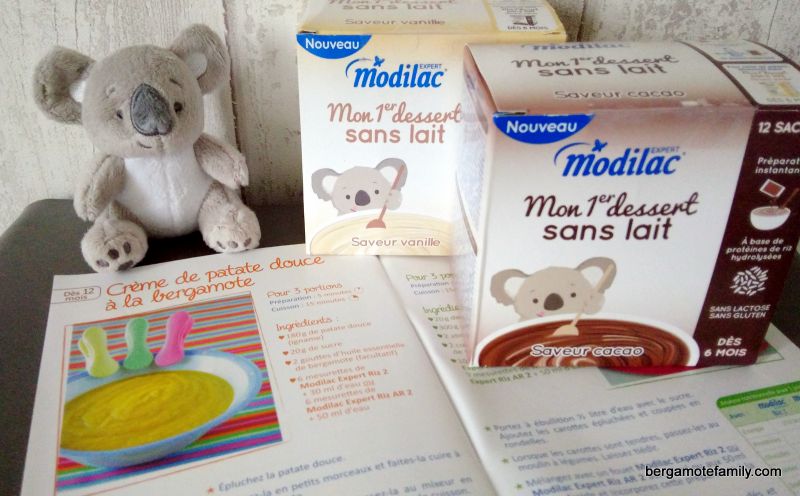 Modilac Expert Mon Premier Dessert Sans Lait Vanille Dès 12 Mois 10 Sachets