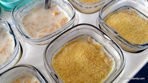 flan potiron sans ouf multidélices - bergamote family (3)