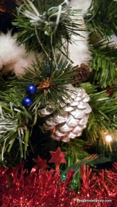 IMG_20151130_183429 (1)