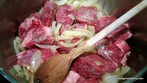 carbonnade de boeuf - bergamote family (1)