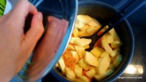 compote aux figues de barbarie - bergamote family (2)