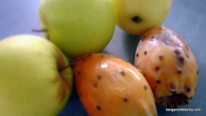 compote aux figues de barbarie - bergamote family