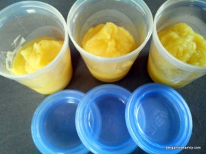 purée panais et betterave jaune - bergamote family (2)