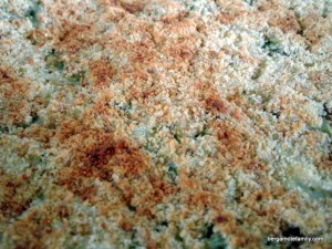 gratin de brocoli riz thon - bergamote family