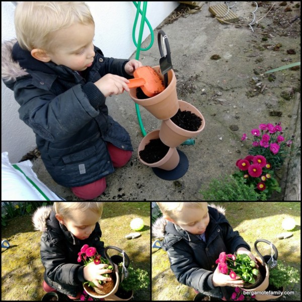 jardinage botanic - bergamote family (2)