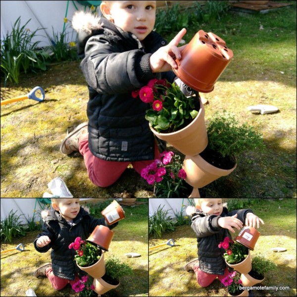 jardinage botanic - jardin - bergamote family (3)