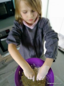 poisson d'avril - bergamote family (1)