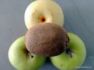 compote pomme nashi kiwi (3)