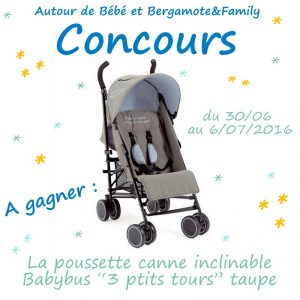 La poussette de mes bébés très rapprochés : la Freerider de Hauck -  Bergamote & Family