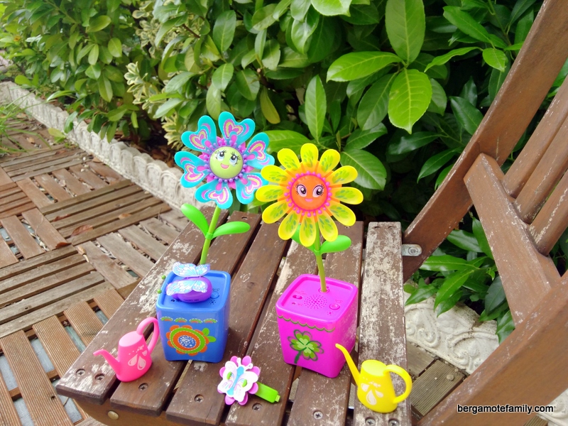 magic blooms - bergamote family (1)