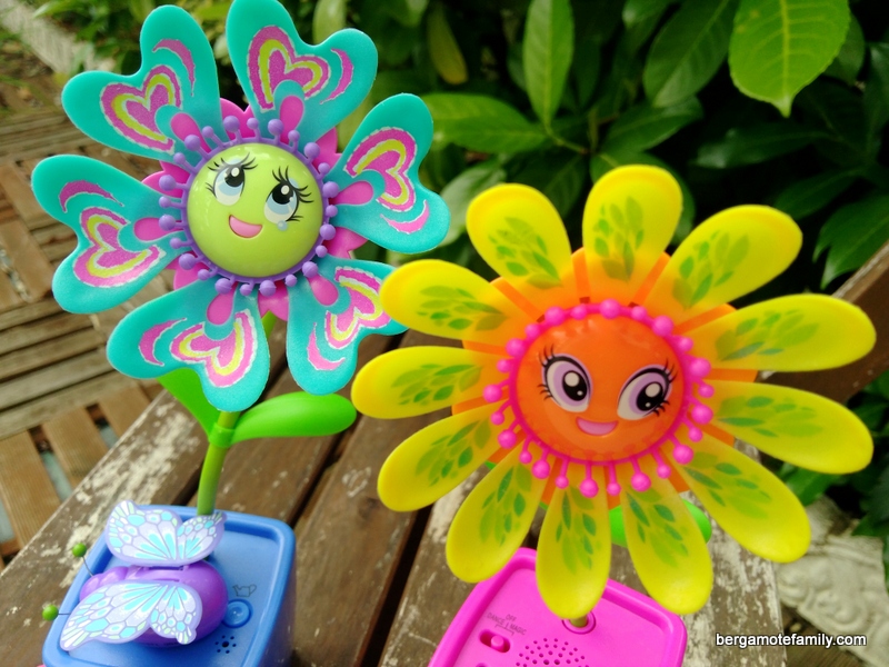 magic blooms - bergamote family (3)