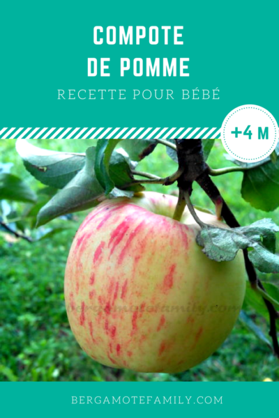 Compote De Pomme Pour Bebe Des 4 6 Mois Bergamote Family Compote De Pomme Pour Bebe Des 4 6 Mois Bergamote Family