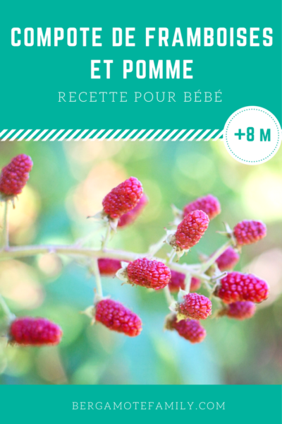 Compote De Framboise Et Pomme Pour Bebe Bergamote Family