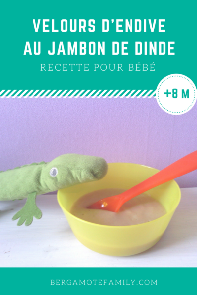 Velours D Endive Au Jambon De Dinde Des 8 Mois Bergamote Family