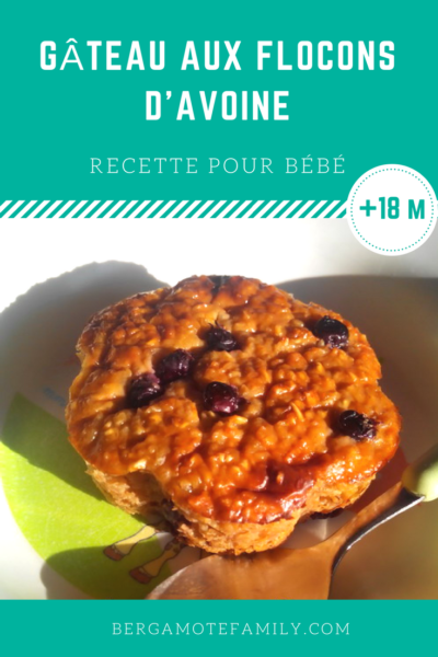 Gateau Aux Flocons D Avoine Compote Et Baies D Amelanchier Gateau Aux Flocons D Avoine Compote Et Baies D Amelanchier