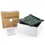 champignons-de-paris-bio-en-boite-de-culture-etanche-30×27-cm