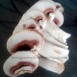 découpe champignons