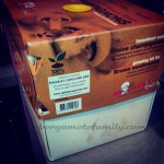 kit de culture champignons