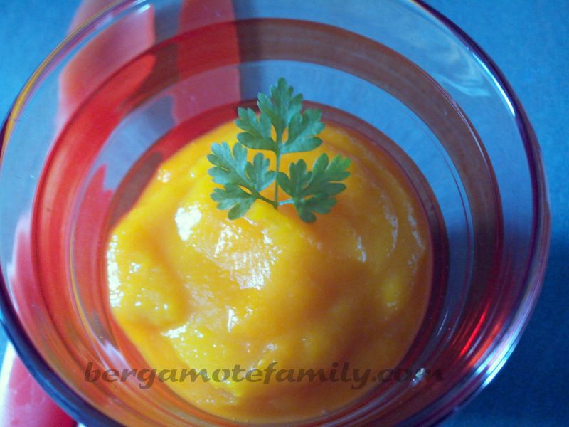 Puree De Potiron Pour Bebe Des 4 6 Mois Bergamote Family Puree De Potiron Pour Bebe Des 4 6 Mois Bergamote Family