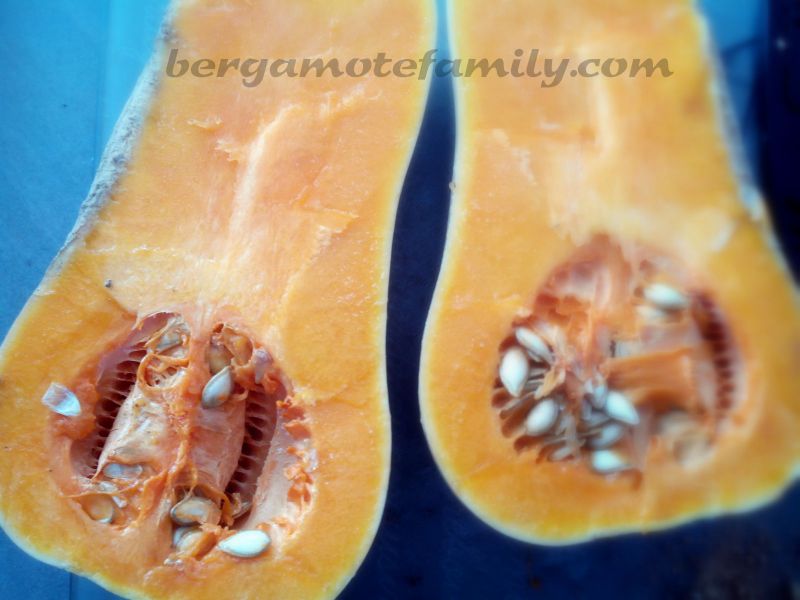 Bebe Decouvre Puree De Courge Butternut Bebe Decouvre Puree De Courge Butternut