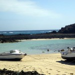 canaries – bergamote family – lobos port