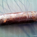 saucisson choco chamallow 3