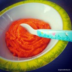 boulgour à la carotte – bergamote family (3)