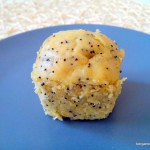 fenouil pavot cake – bergamote family (5)